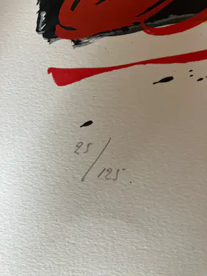 Kees Salentijn - Geen titel kopen? Bied vanaf 40!