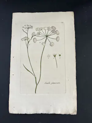 Onbekend - Hand gekleurde gravures uit een boek kopen? Bied vanaf 25!