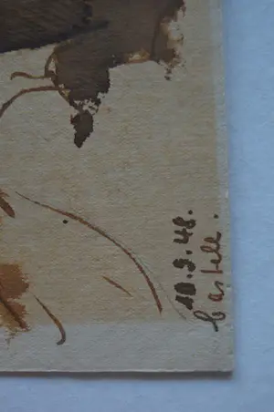 Onbekend - 'Bos' kopen? Bied vanaf 20!