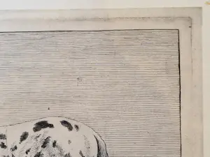 Paulus Potter - Twee Paarden kopen? Bied vanaf 100!