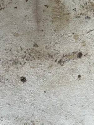 Onbekend - Hand gedecoreerde tegel met een allegorische voorstelling kopen? Bied vanaf 20!