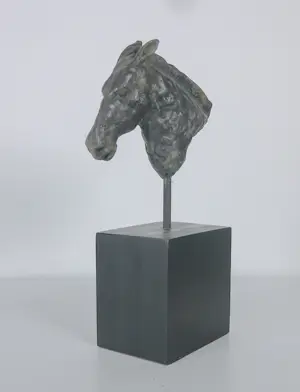 Brons (Onbekend) - Paardenhoofd kopen? Bied vanaf 100!