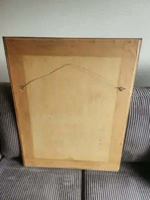 Johan Gobert - sonja is zwanger kopen? Bied vanaf 150!