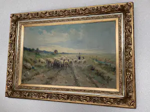 Onbekend - Schapen op pad kopen? Bied vanaf 450!