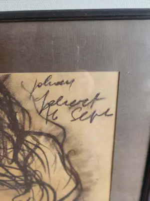 Johan Gobert - sonja is zwanger kopen? Bied vanaf 150!