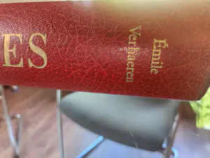 Henri Victor Wolvens - Les Moines kopen? Bied vanaf 125!