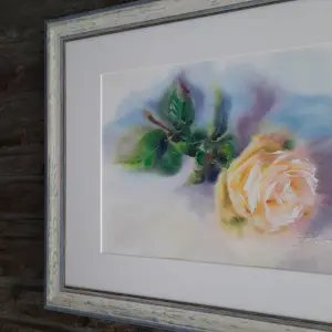 Onbekend - De zachgele roos kopen? Bied vanaf 50!