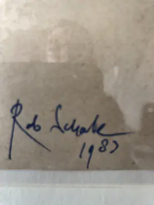 Rob Scholte - Man in de zon kopen? Bied vanaf 200!