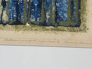 Anne Huitema - Plattegrond met gevels kopen? Bied vanaf 50!