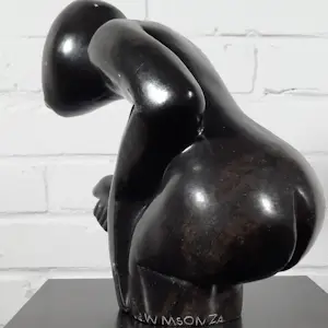 Washington Msonza - gepolijst zwarte serpentijn - 25819 kopen? Bied vanaf 150!