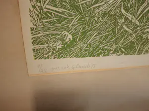 Ger Daniels - Graszak. kopen? Bied vanaf 25!