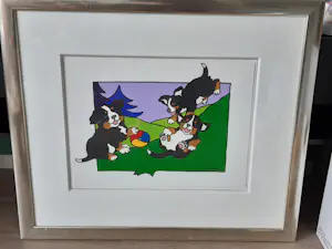 Shunyam - Berner Sennenpups kopen? Bied vanaf 100!