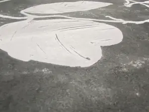 Andrea Veldman - Sinaasappelbloesem - Linosnede kopen? Bied vanaf 40!