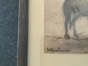 Johannes Cornelis Roelandse - Paard kopen? Bied vanaf 25!