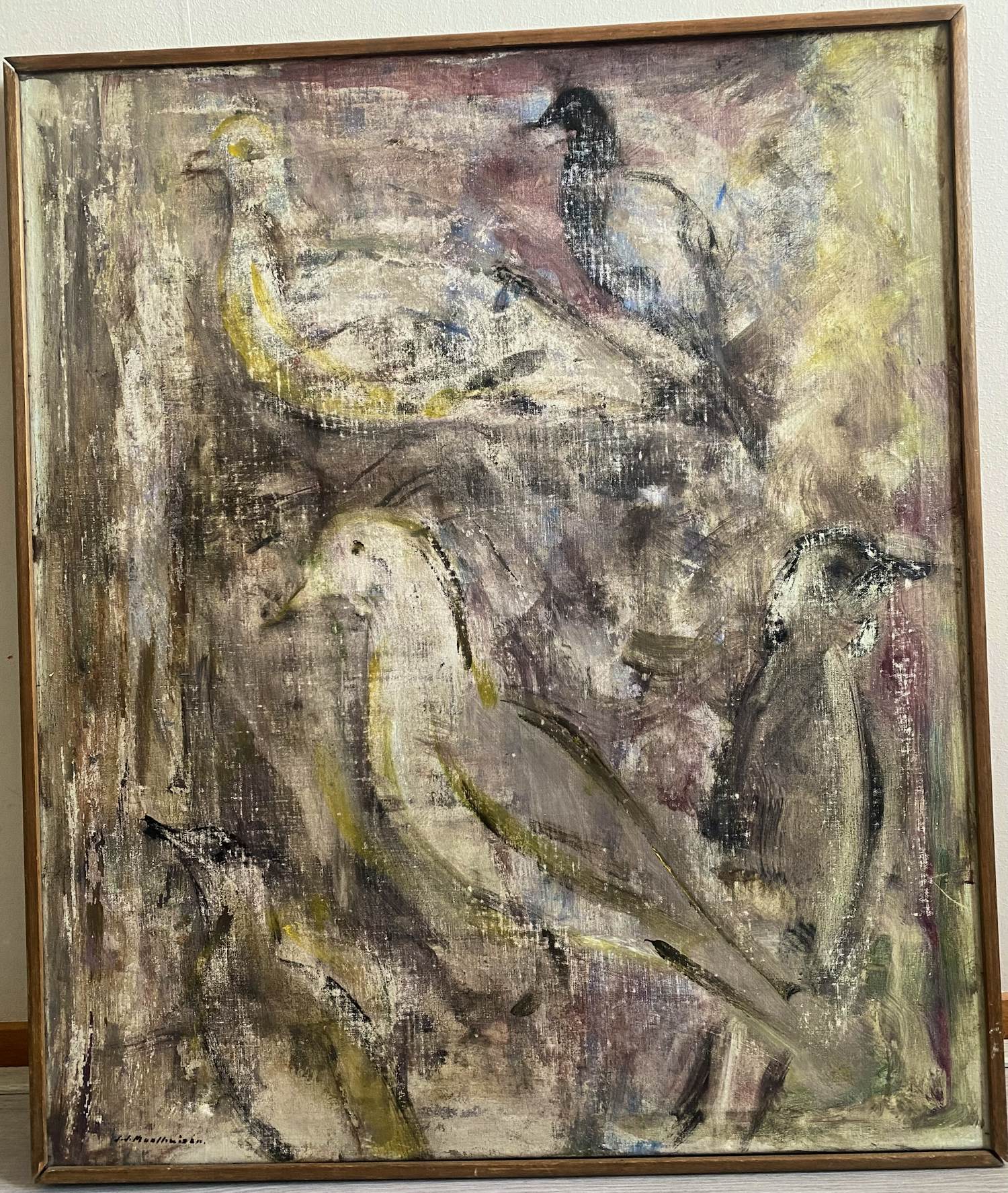 Jan Jurrien Moolhuizen - Vogels kopen? Bied vanaf 60!