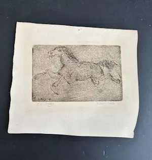 Robbert de Bakker - Paardje kopen? Bied vanaf 20!