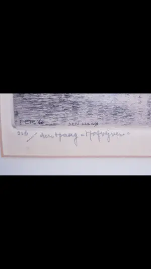 Hendrikus Roodenburg - Den Haag - Hofvijver kopen? Bied vanaf 80!