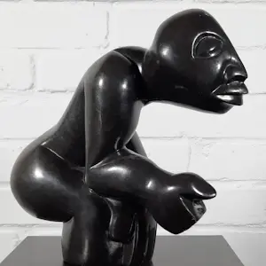 Washington Msonza - gepolijst zwarte serpentijn - 25819 kopen? Bied vanaf 150!