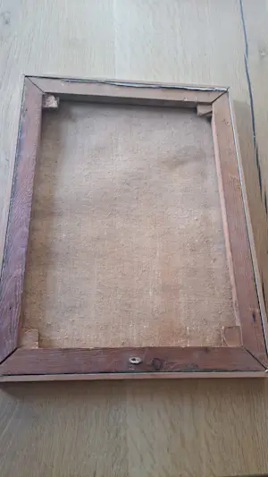 Piet Snel - bloem kopen? Bied vanaf 40!