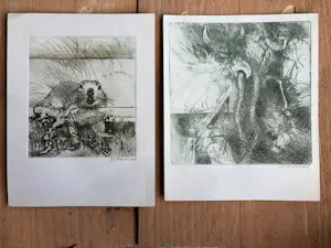 Buy Onbekend - 2 etsen? Bid from 30!