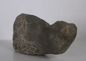 Onbekend - Stenen beeldje van een walvis kopen? Bied vanaf 50!