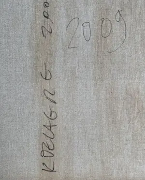 Koen Delaere - Olieverf op doek | 'Zonder titel' | 2009 kopen? Bied vanaf 2500!