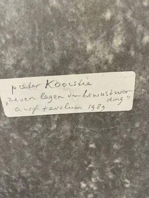 Pieter Kooistra - zeven lagen van bewustzijn kopen? Bied vanaf 150!