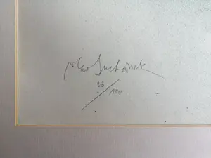 Vladimir Suchanek - Medussa kopen? Bied vanaf 35!