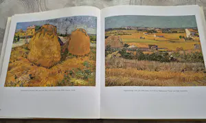 Vincent van Gogh - Zijn leven en werken kopen? Bied vanaf 20!