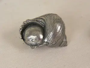 Onbekend - Gegoten tinnen schelpen kopen? Bied vanaf 20!