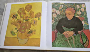 Vincent van Gogh - Zijn leven en werken kopen? Bied vanaf 20!