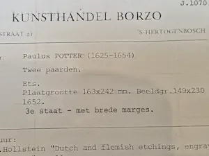 Paulus Potter - Twee Paarden kopen? Bied vanaf 100!