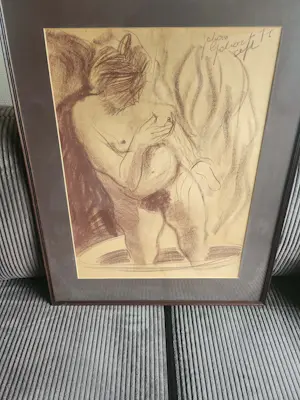 Johan Gobert - sonja is zwanger kopen? Bied vanaf 150!