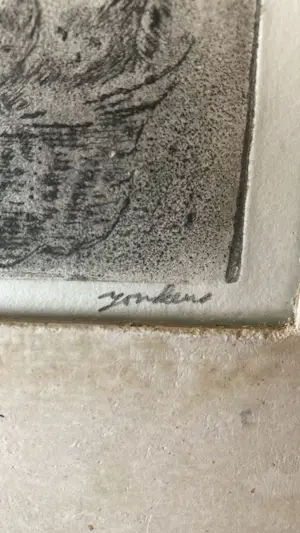 Bert Jonkers - Kat in nestje kopen? Bied vanaf 75!