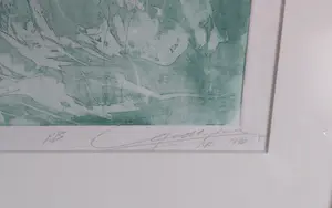 Roger van Belleghem - Geen , proef kopen? Bied vanaf 50!