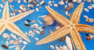 Riccardo Marzi - Model: Ocean Art.616-XST kopen? Bied vanaf 25!