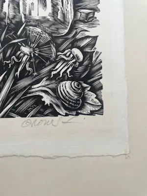 Hans Orlowski - Discussie kopen? Bied vanaf 40!