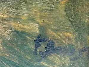 Ferdinand Boersma - boerderij met schuur kopen? Bied vanaf 60!