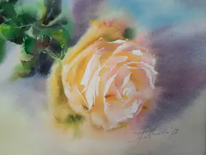 Onbekend - De zachgele roos kopen? Bied vanaf 50!