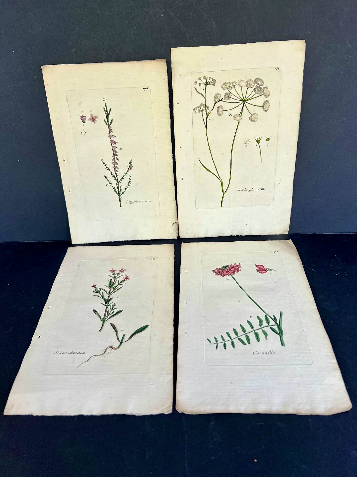 Onbekend - Hand gekleurde gravures uit een boek verkocht voor € 25!