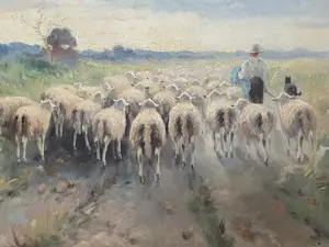 Onbekend - Schapen op pad kopen? Bied vanaf 450!