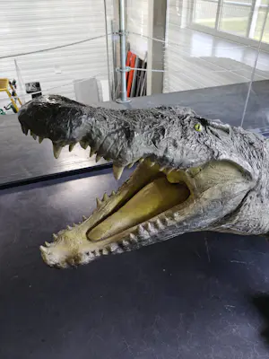 AcheterCuriosa - Krokodil met barkrukken van kunstenaar Jurgen Raymaekers? Enchérissez de 1200!