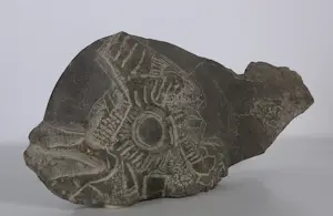 Onbekend - Stenen beeldje van een walvis kopen? Bied vanaf 50!