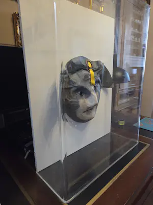 Panamarenko - NAPOLEON BONAPARTE kopen? Bied vanaf 3000!