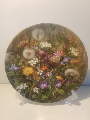 Furstenberg - Zwischen den Felsen kopen? Bied vanaf 30!