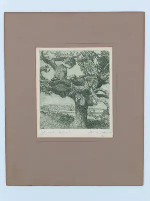 Onbekend - Meisje in boom kopen? Bied vanaf 20!