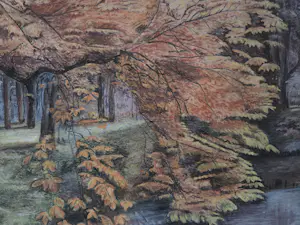 Onbekend - Bosgezicht met vijver. OPHALEN. kopen? Bied vanaf 20!