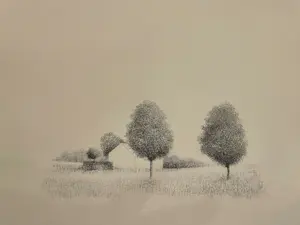 Metten Koornstra - Bomen met huisje kaufen? Bieten Sie von 58!