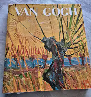 Vincent van Gogh - Zijn leven en werken vendu pour 20€ !