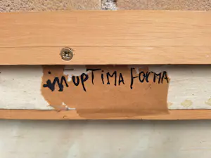 Kars Persoon - In Optima Forma kopen? Bied vanaf 400!